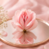 هزینه عمل لابیاپلاستی